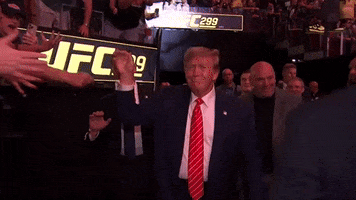 Donald Trump Sport GIF by UFC