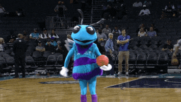 charlotte hornets nba mascot GIF by NBA