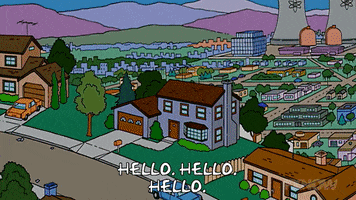 Episode 5 Springfield GIF by The Simpsons