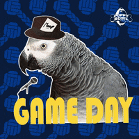 Game Day Bird GIF by Puppy Bowl