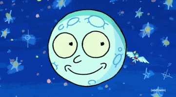 Season 5 Moon GIF by Rick and Morty
