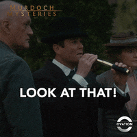 Look At That Murdoch Mysteries GIF by Ovation TV
