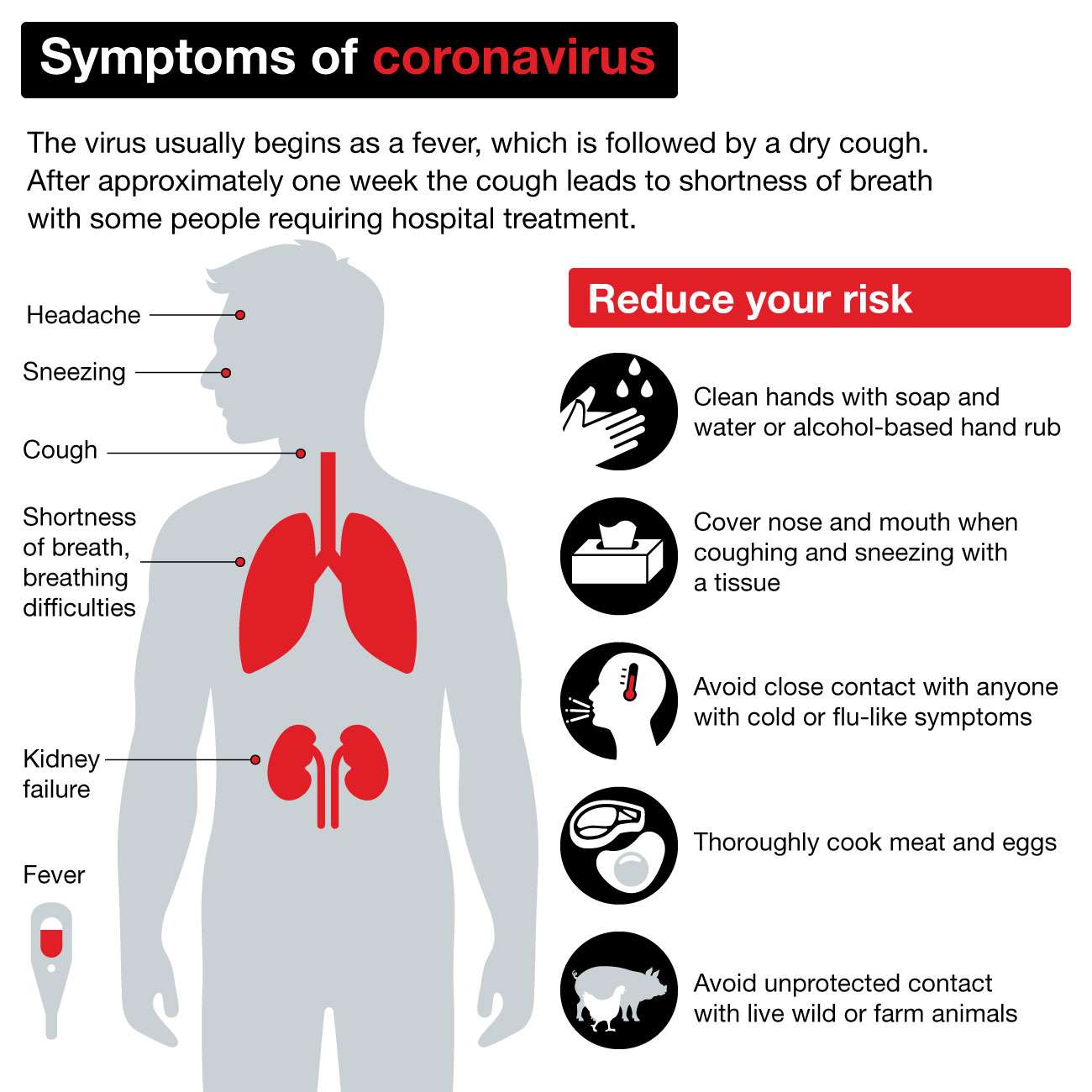 NED-1067-Reduce-risk-of-coronavirus_cpkvhkt8.jpg