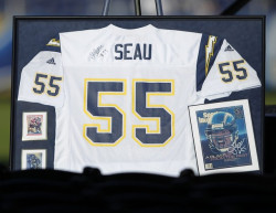 seau55.jpg