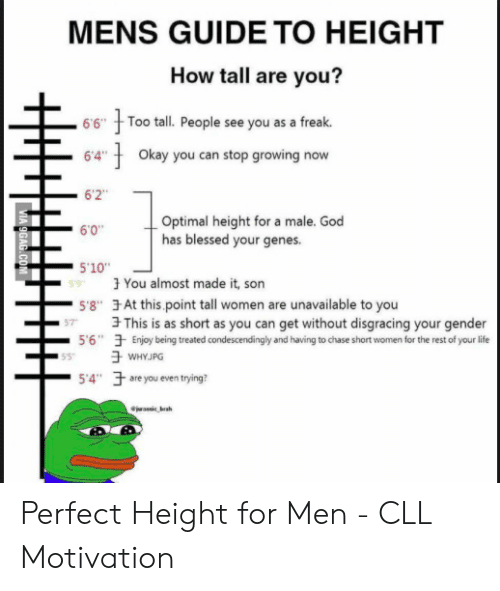 mens-guide-to-height-how-tall-are-you-66-too-48757925.png