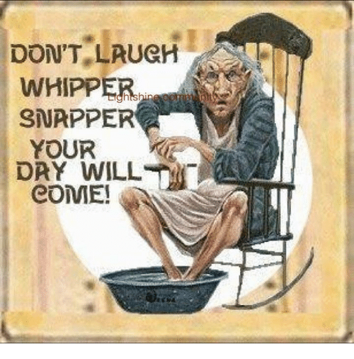 dont-laugh-whipper-snapper-your-day-will-come-4450098.png