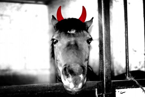 Pony-of-Death-480x320.jpg