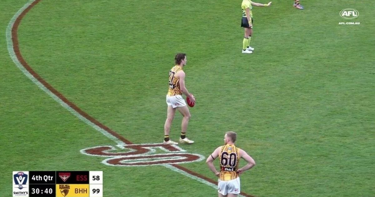 www.afl.com.au