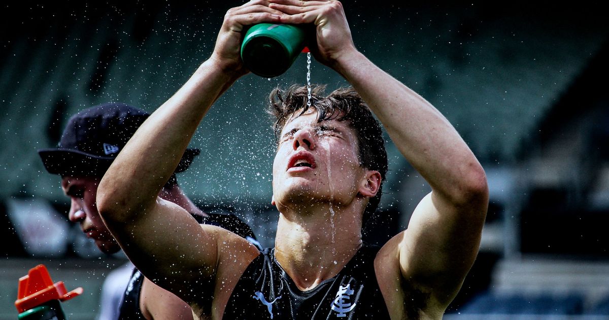 www.carltonfc.com.au