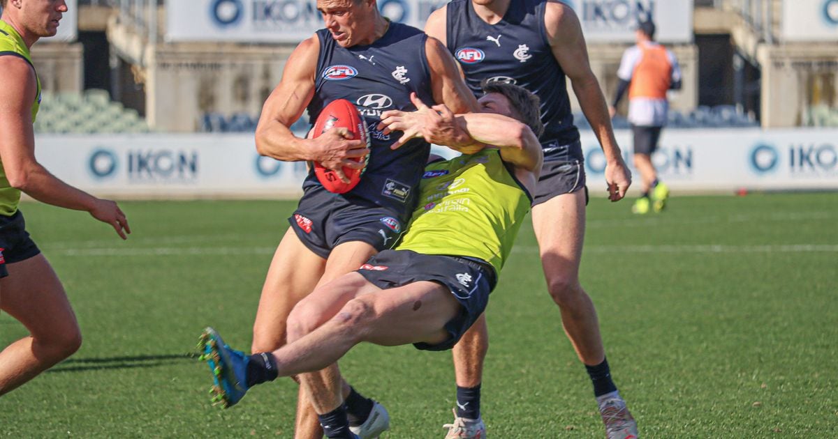 www.carltonfc.com.au