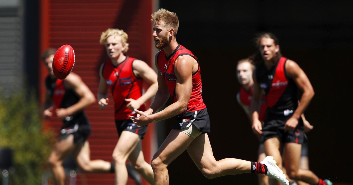 www.essendonfc.com.au