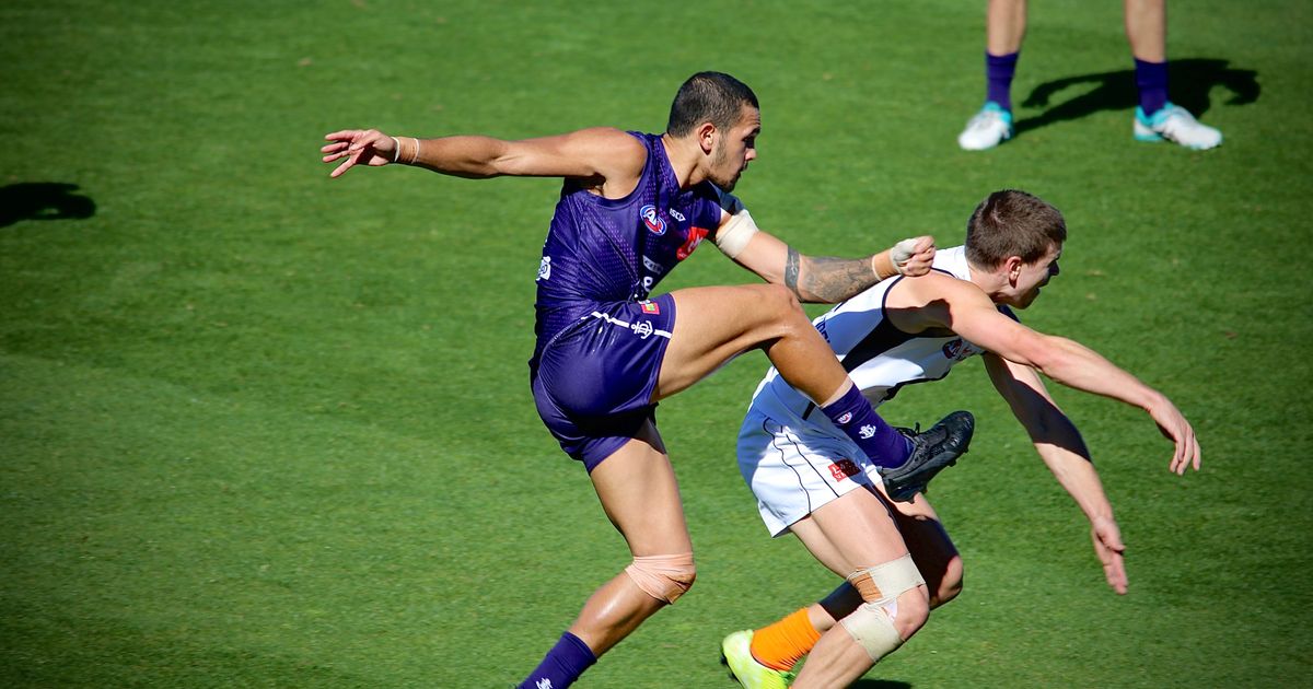 www.fremantlefc.com.au