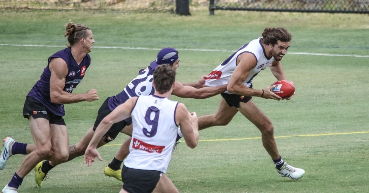 www.fremantlefc.com.au