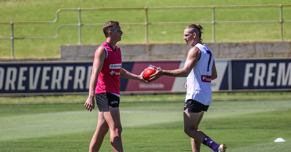 www.fremantlefc.com.au