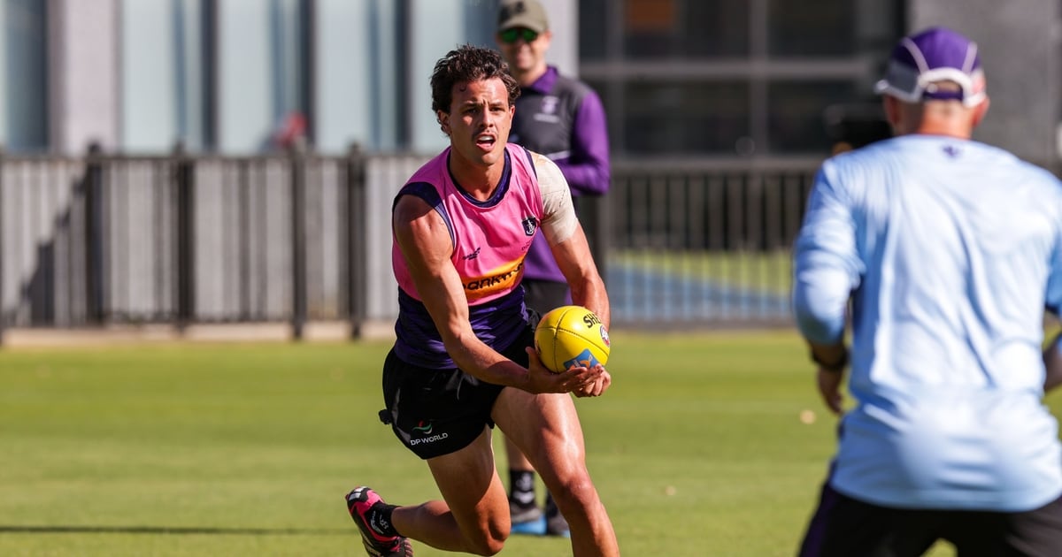 www.fremantlefc.com.au