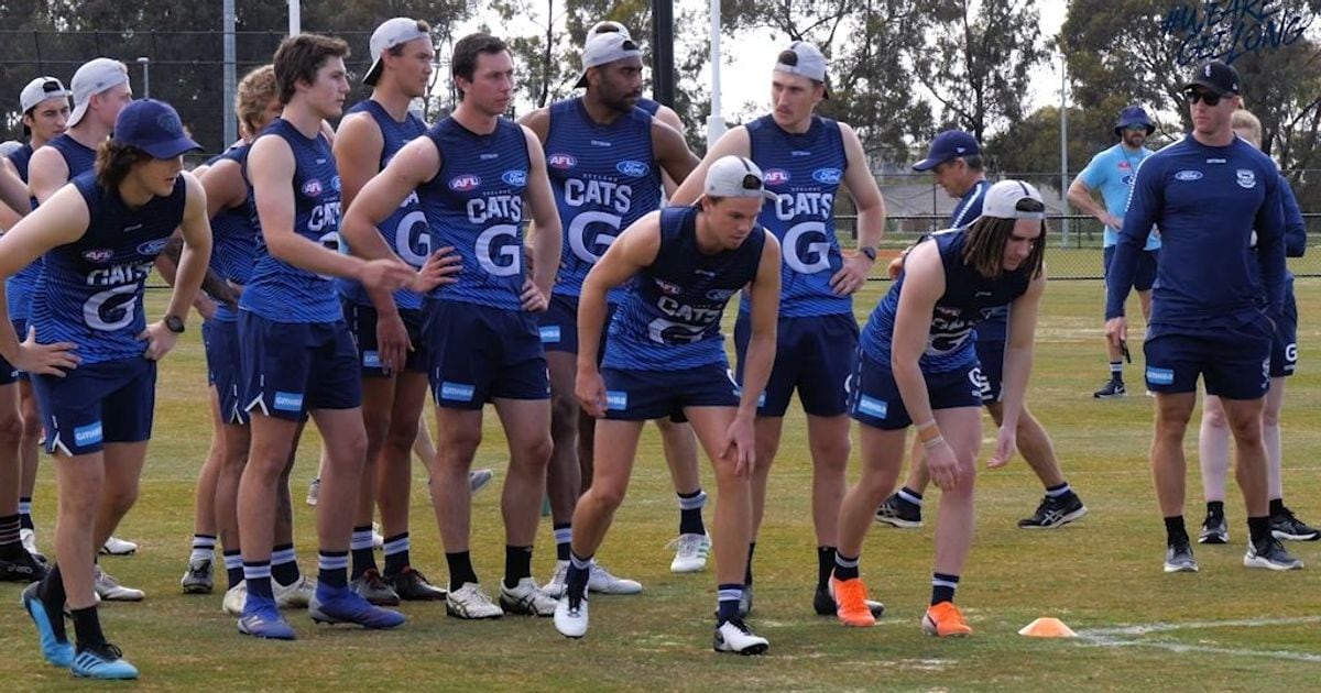 www.geelongcats.com.au