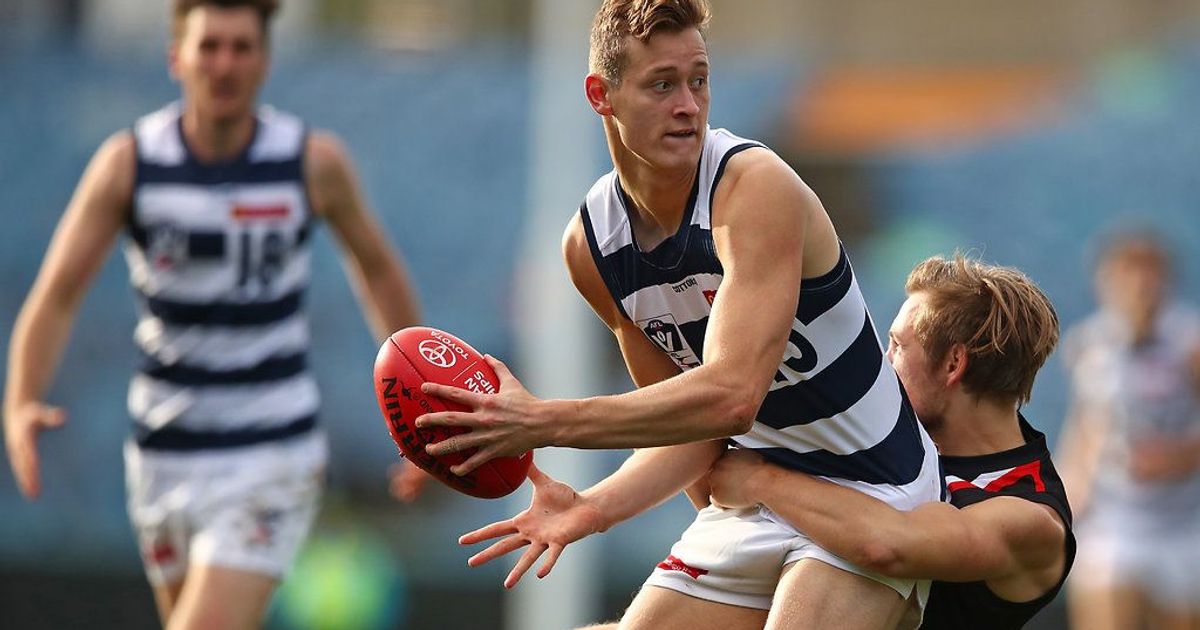 www.geelongcats.com.au