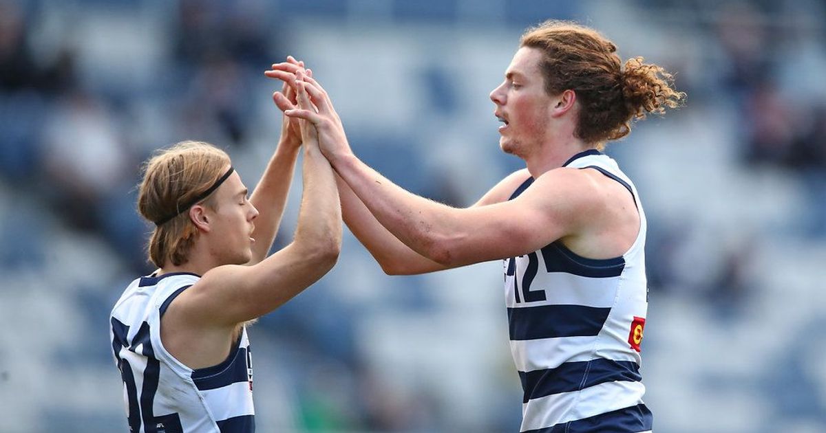 www.geelongcats.com.au