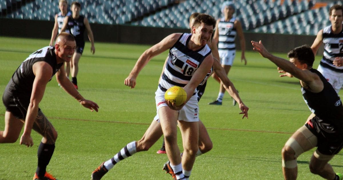 www.geelongcats.com.au