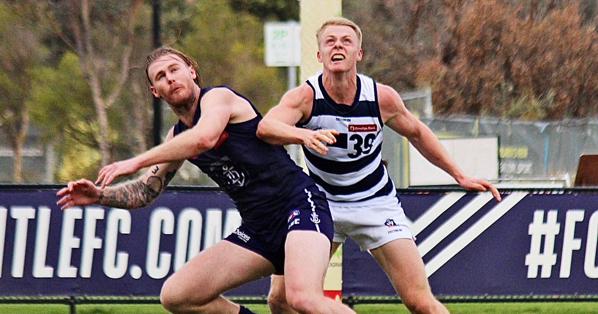 www.geelongcats.com.au