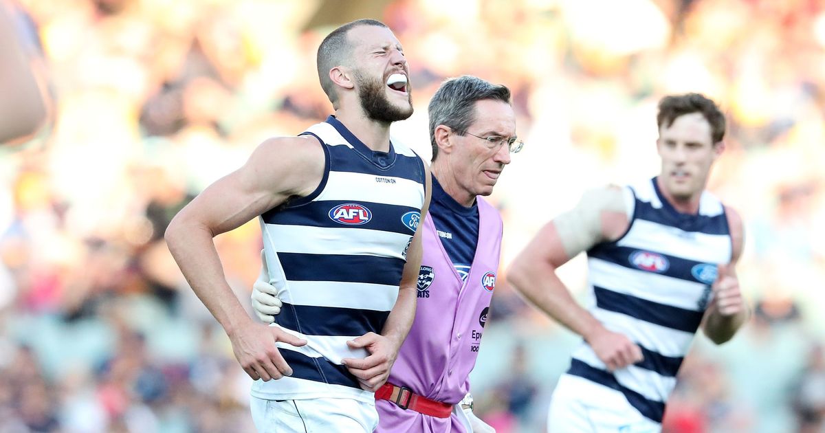 www.geelongcats.com.au