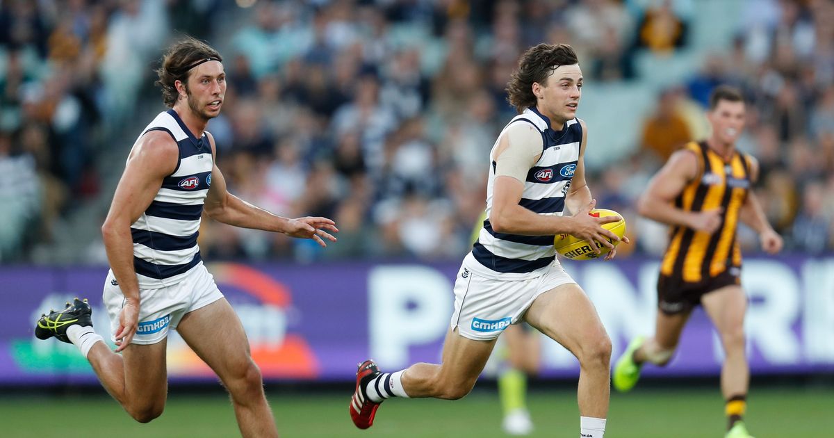 www.geelongcats.com.au