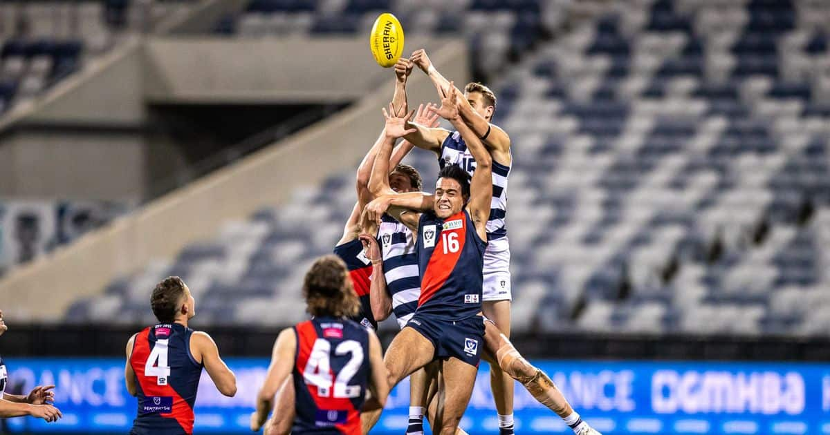 www.geelongcats.com.au