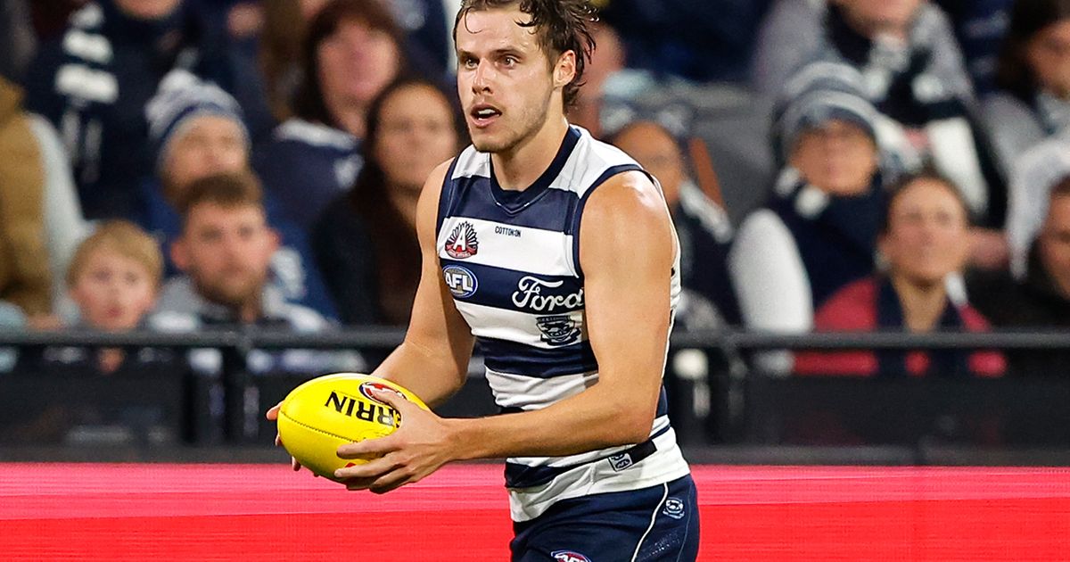 www.geelongcats.com.au