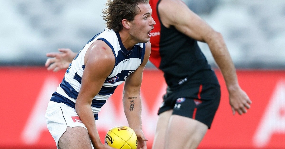 www.geelongcats.com.au