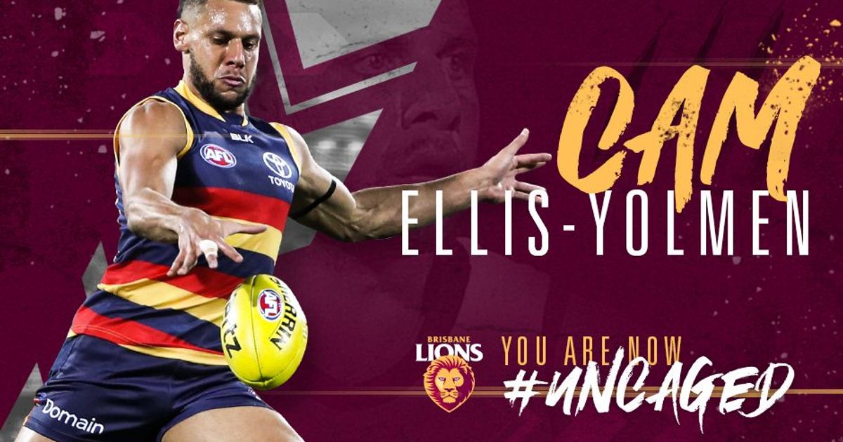 m.lions.com.au