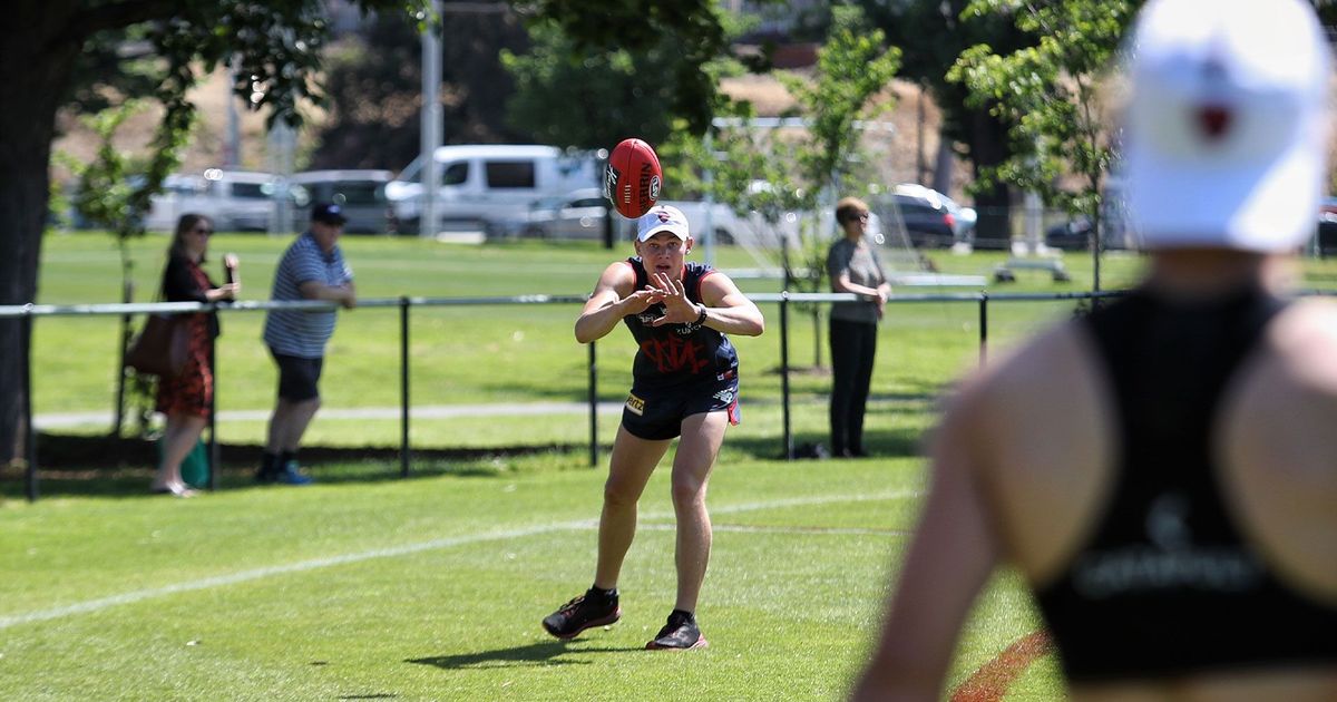 www.melbournefc.com.au