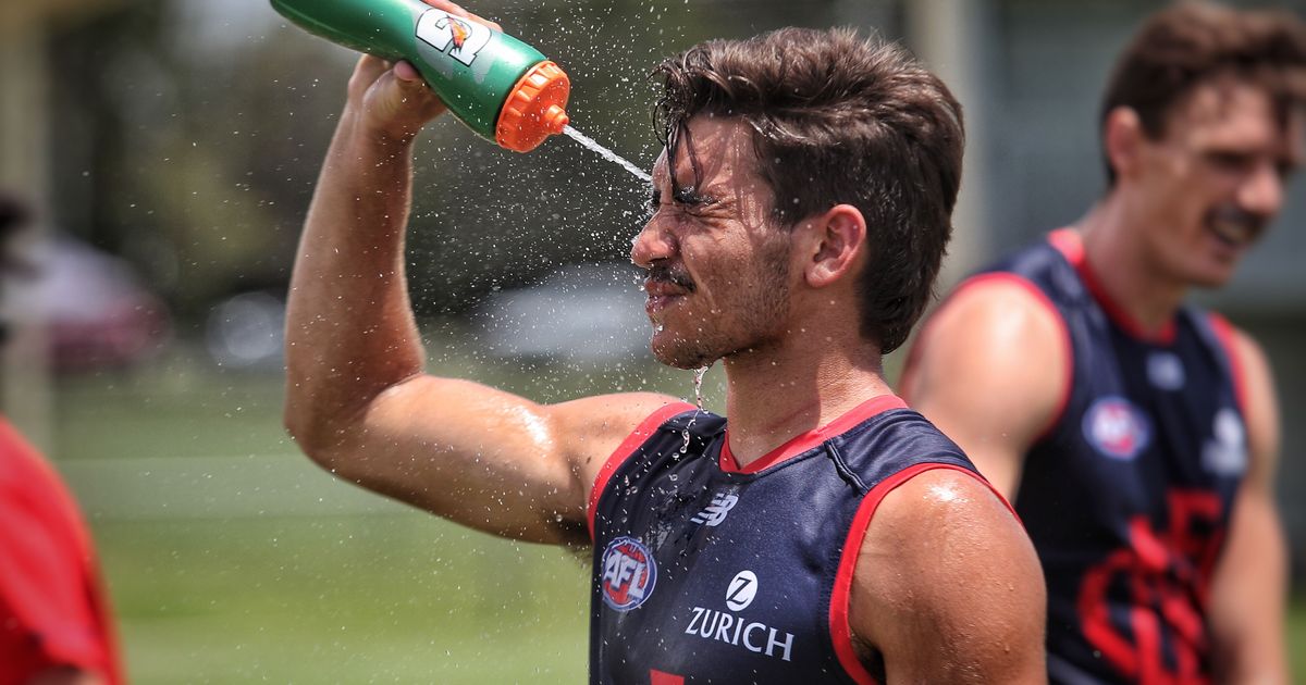 www.melbournefc.com.au