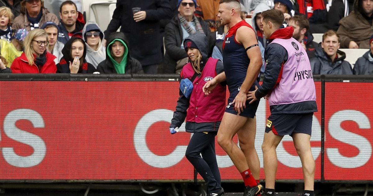 www.melbournefc.com.au