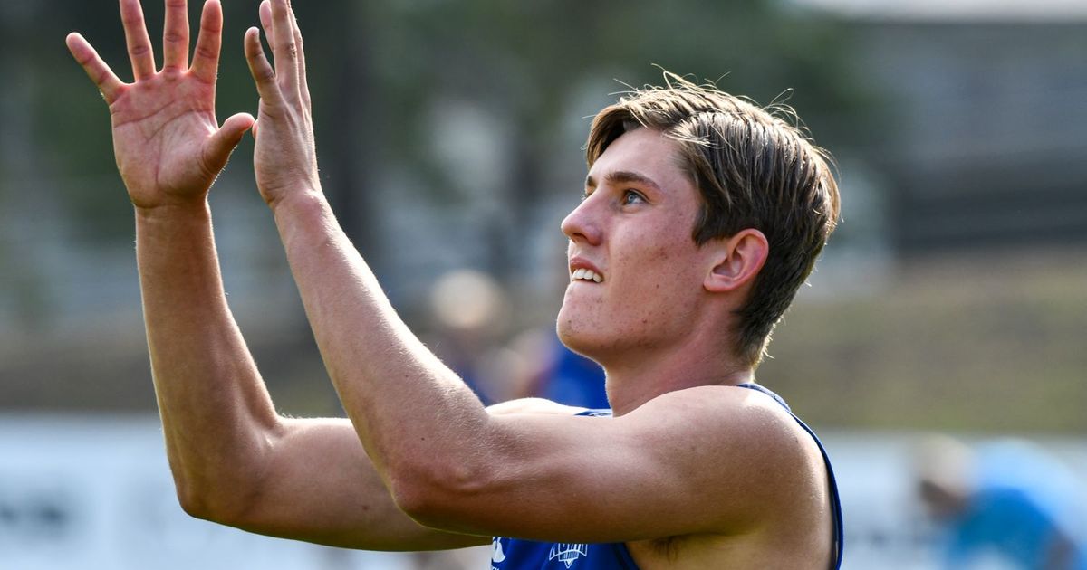 www.nmfc.com.au