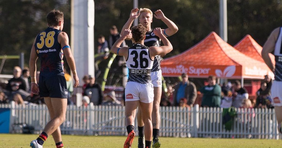 www.portadelaidefc.com.au