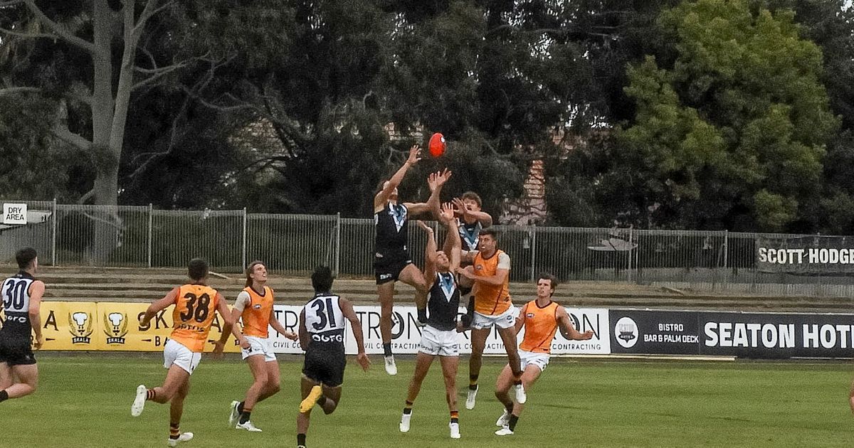 www.portadelaidefc.com.au