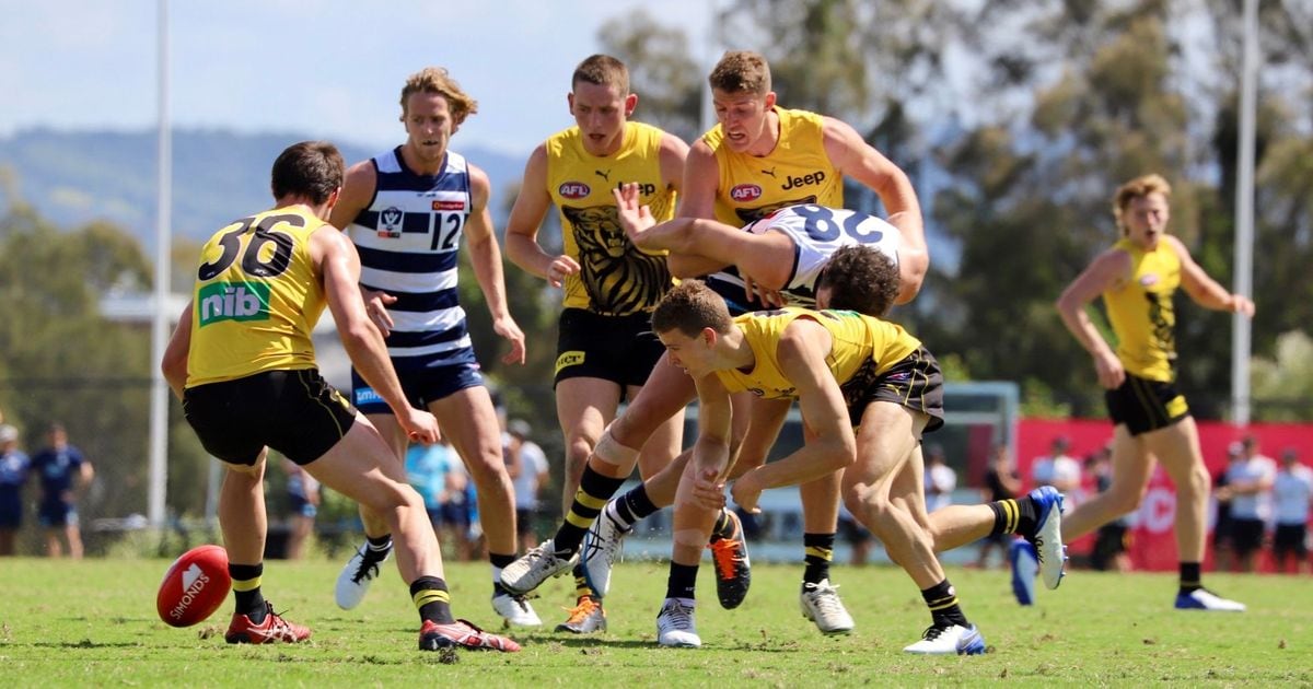 www.richmondfc.com.au