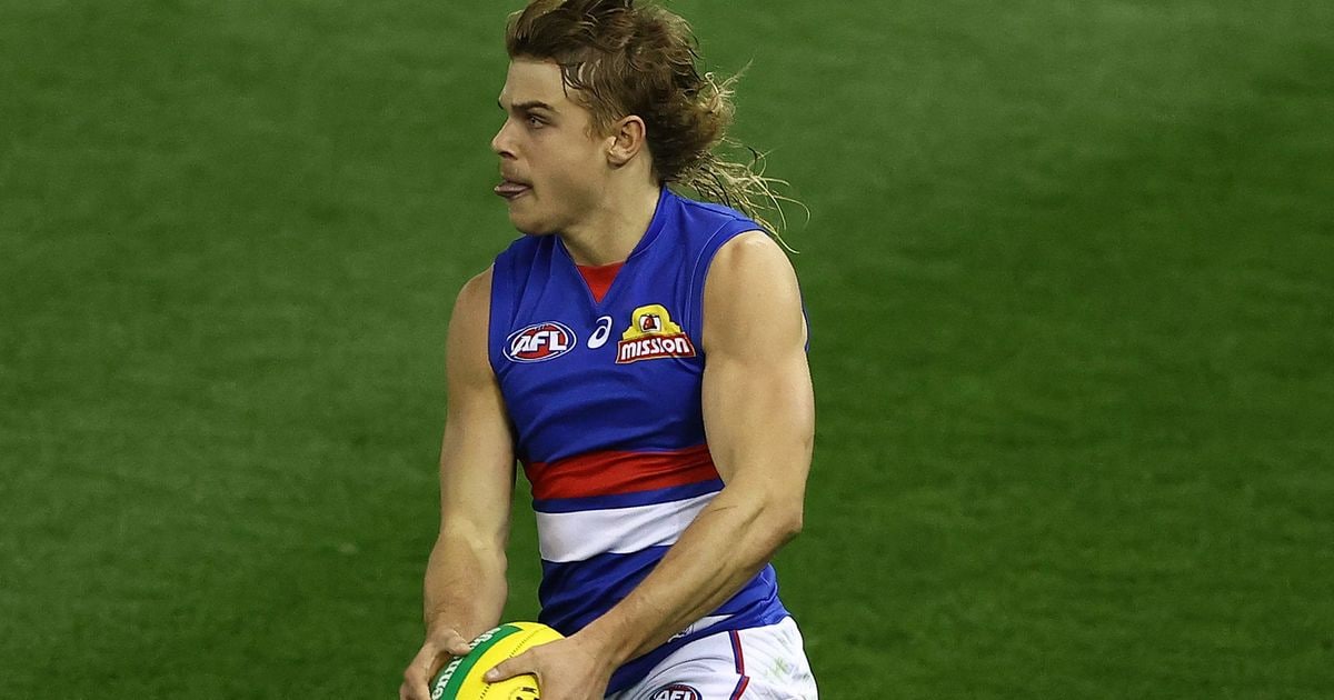 www.westernbulldogs.com.au