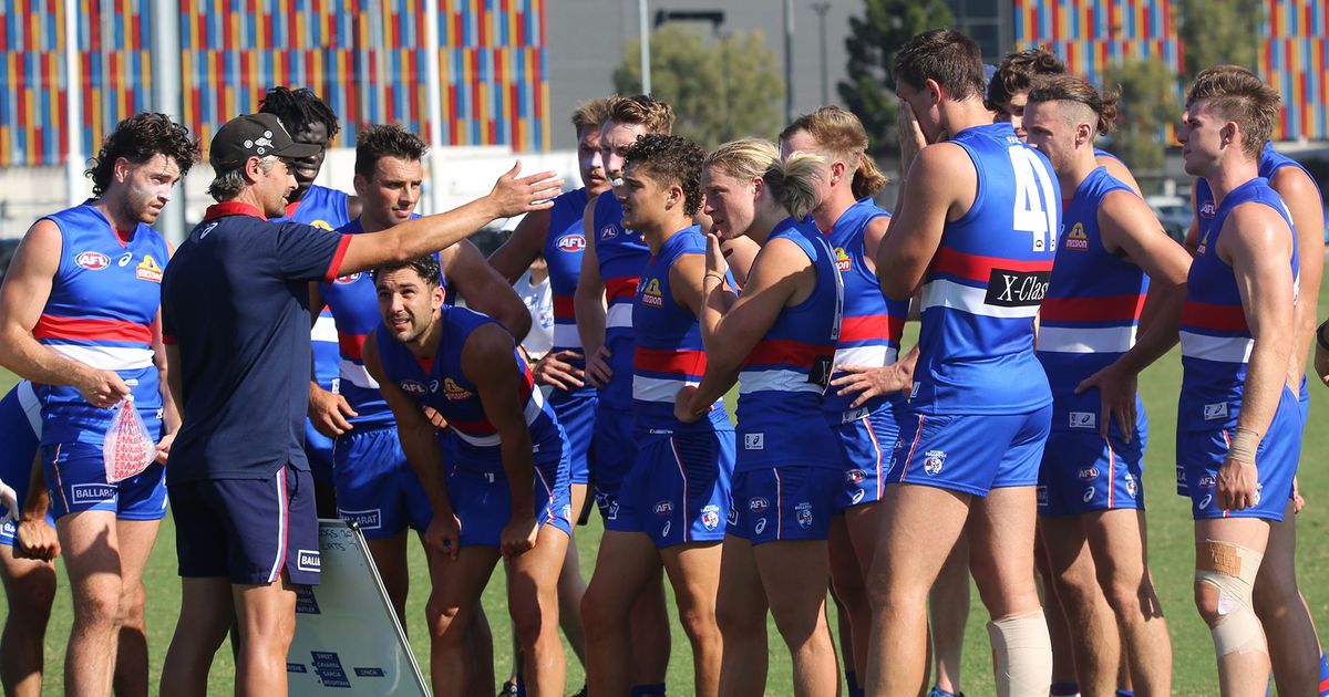 www.westernbulldogs.com.au