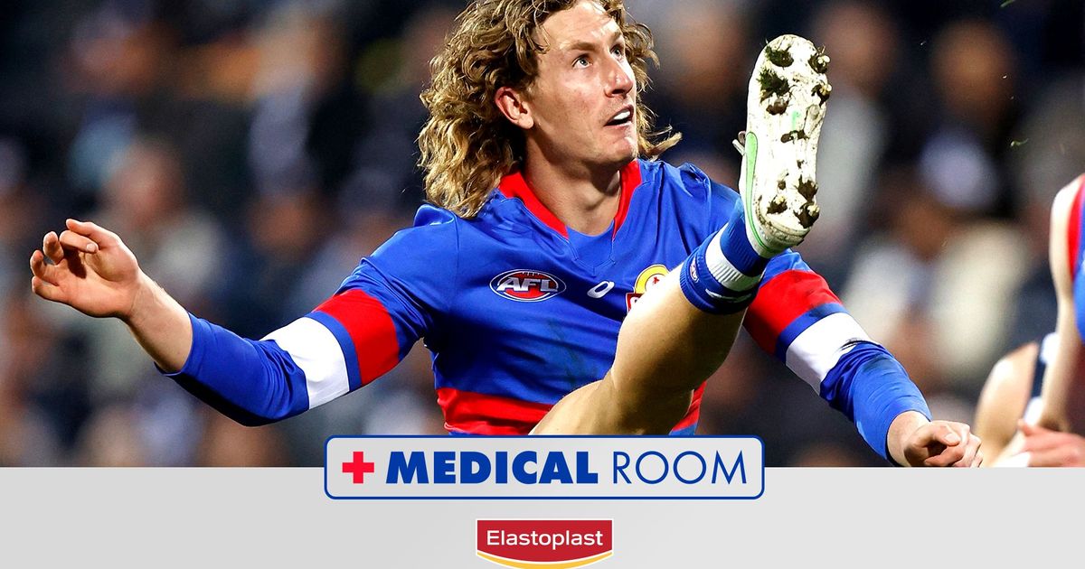 www.westernbulldogs.com.au