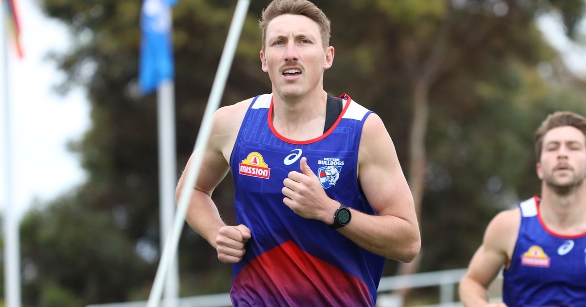 www.westernbulldogs.com.au