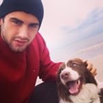 brodiegrundy's profile picture