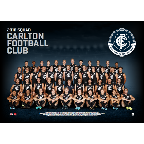 9E0398E5-A4B8-EC49-35FE16ACC9C6D47C2018teamposter2.png