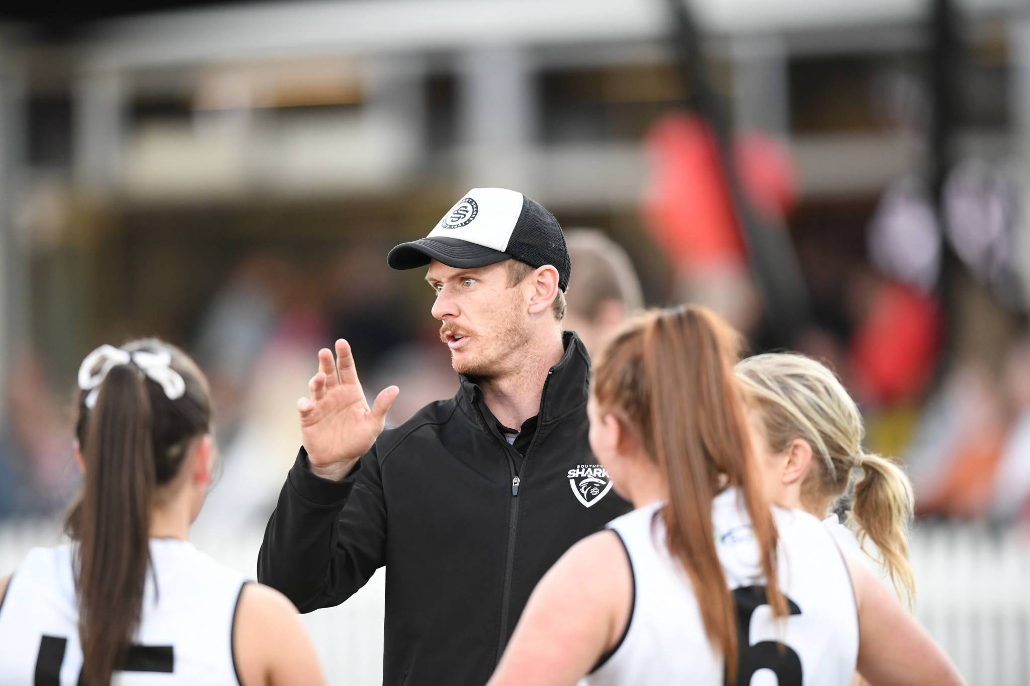 southportsharks.com.au