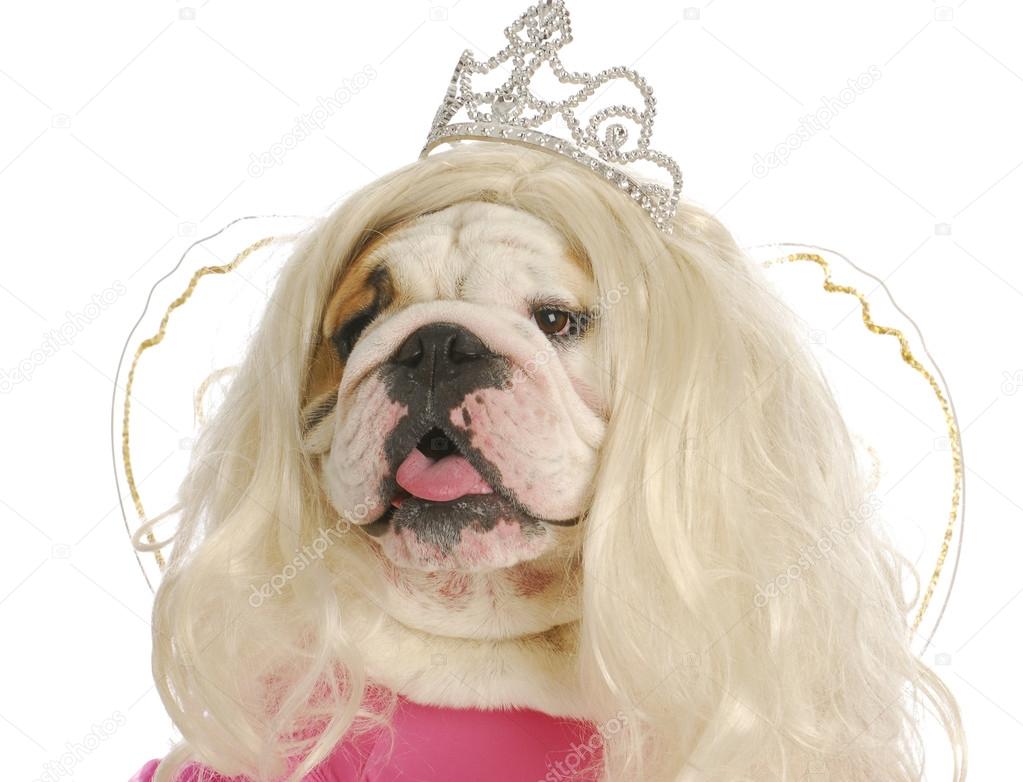 depositphotos_13893628-stock-photo-ugly-princess.jpg