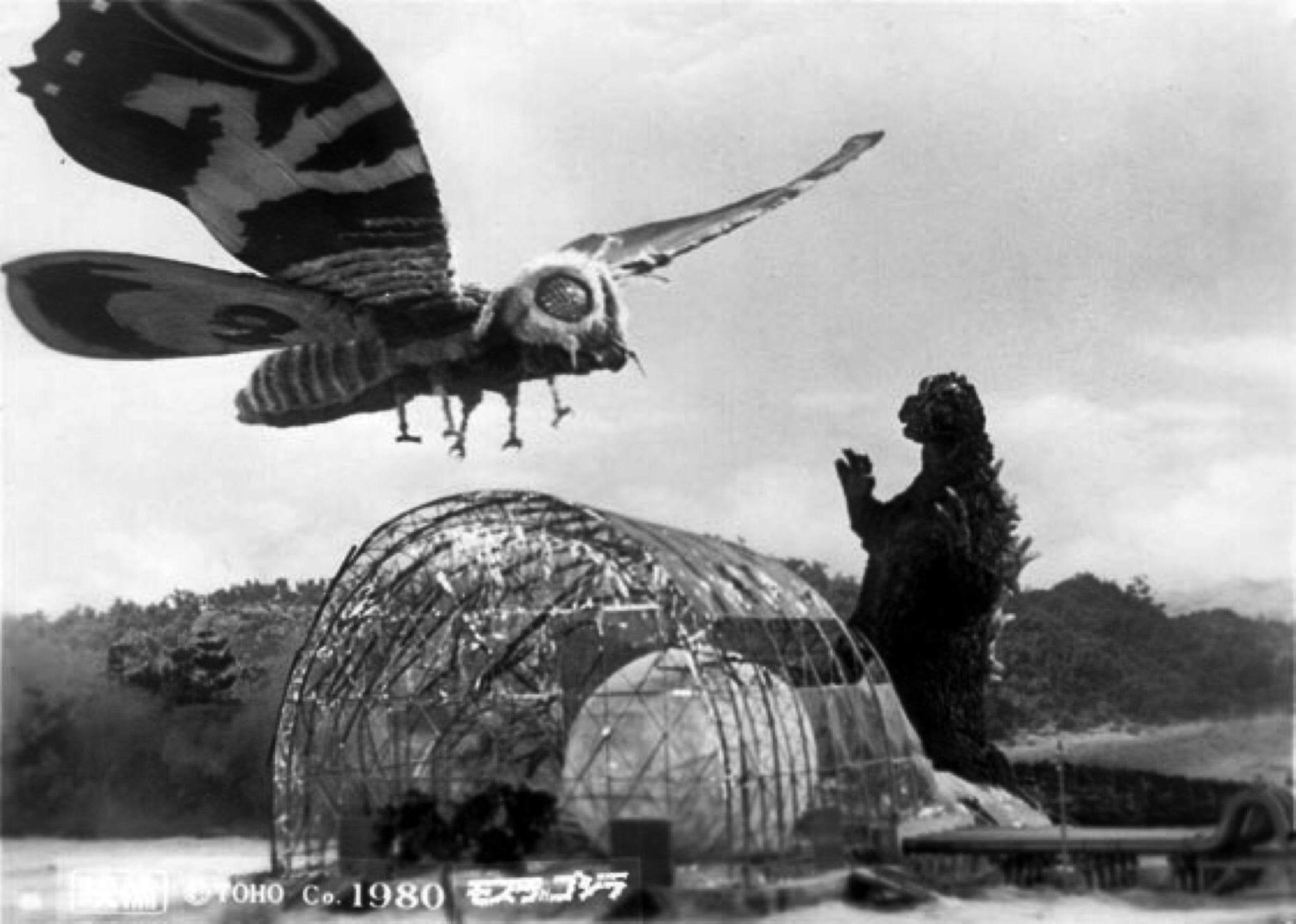An Ode to Mothra, Co-kaiju of Godzilla: King of the Monsters | Features |  Roger Ebert