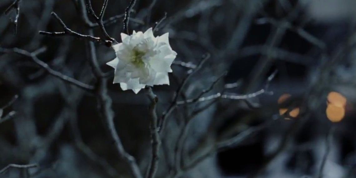 White-Tree-of-Gondor-In-Bloom.jpg