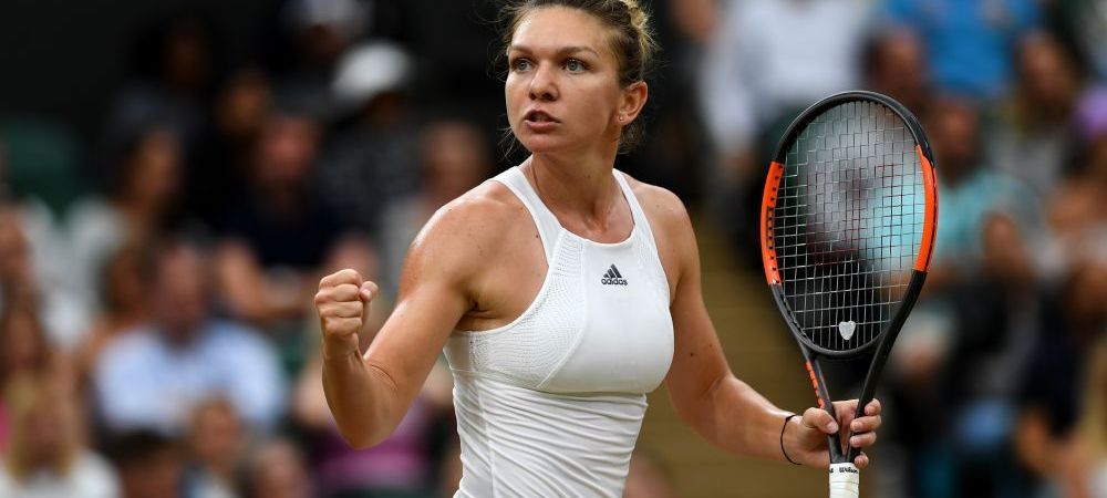 simona-halep-finala-la-australian-open-acest-meci-a-fost-ca-un-montagne-ruse-cum-a-ajutat-o-accidentarea_size6.jpg