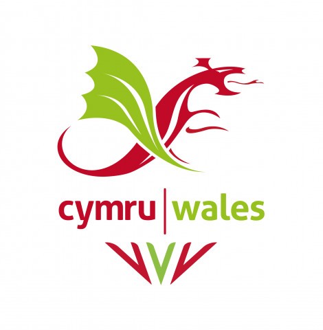 Team_Wales_CWG_Flourish_logo-01.jpg