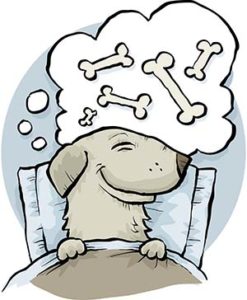 Dog-dreaming-about-dog-food-247x300.jpg